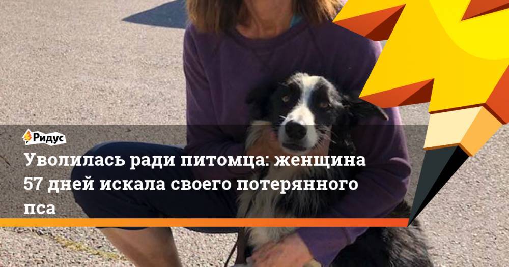 Уволилась ради питомца: женщина 57 дней искала своего потерянного пса