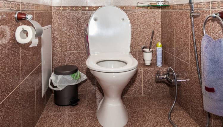 Врачи назвали привычку брать с собой телефон в туалет опасной - newtvnews.ru