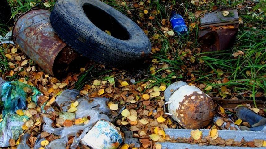 В Петербурге в мусорной куче нашли останки обгоревших тел
