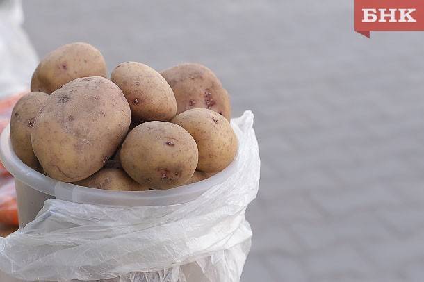 В Корткеросском районе сотрудник угрозыска задержал похитителей урожая картофельного поля