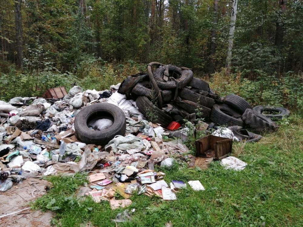 Жители Ленобласти зафиксировали свалку в лесах Карельского перешейка
