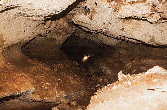 Учёные рассчитывают найти останки древнего человека в пещере «Таврида» в Крыму