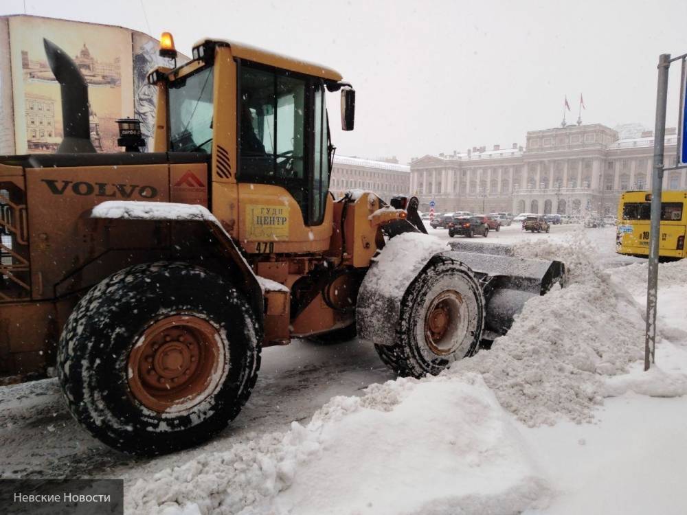 Эксперт высоко оценила работу петербургских властей по подготовке города к зиме