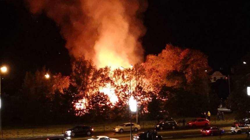 «Вулкан виден со всех сторон»: мощный пожар произошел в Сосновом Бору