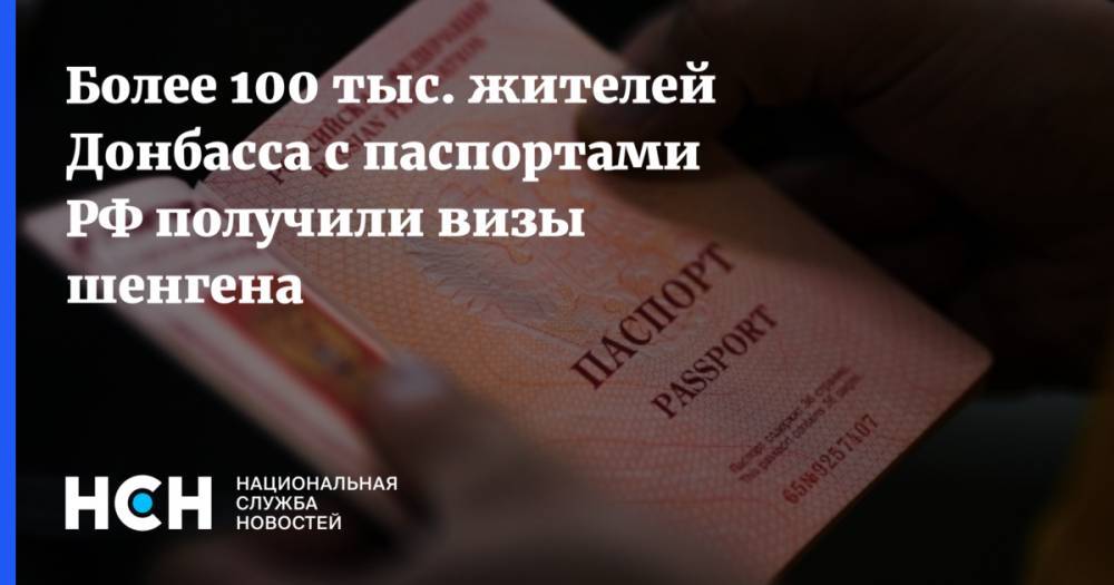 Более 100 тыс. жителей Донбасса с паспортами РФ получили визы шенгена