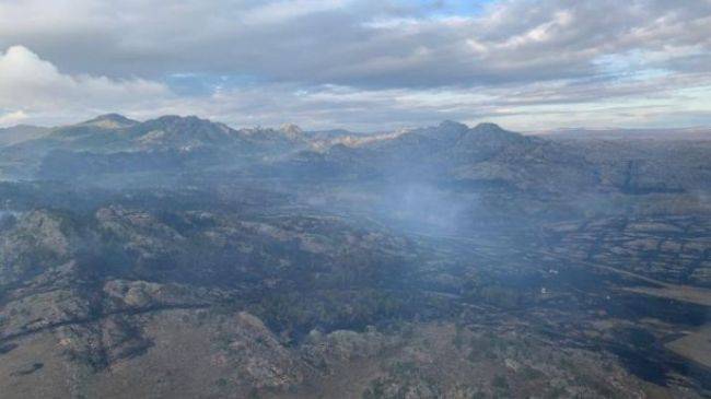 В Казахстане лесостепной пожар охватил 93 га