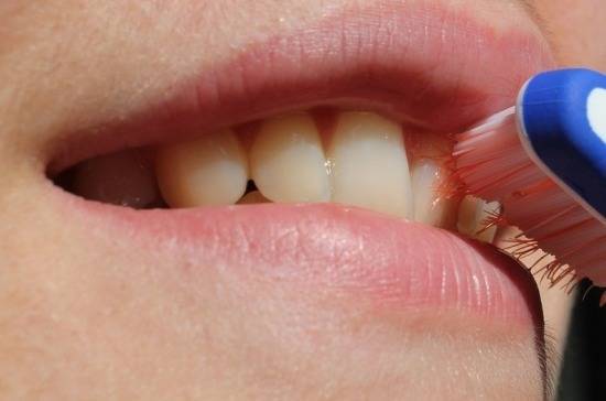 Китайские учёные научились выращивать зубную эмаль