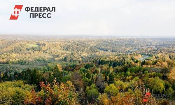 «Горная Колывань» станет самым большим нацпарком в Алтайском крае