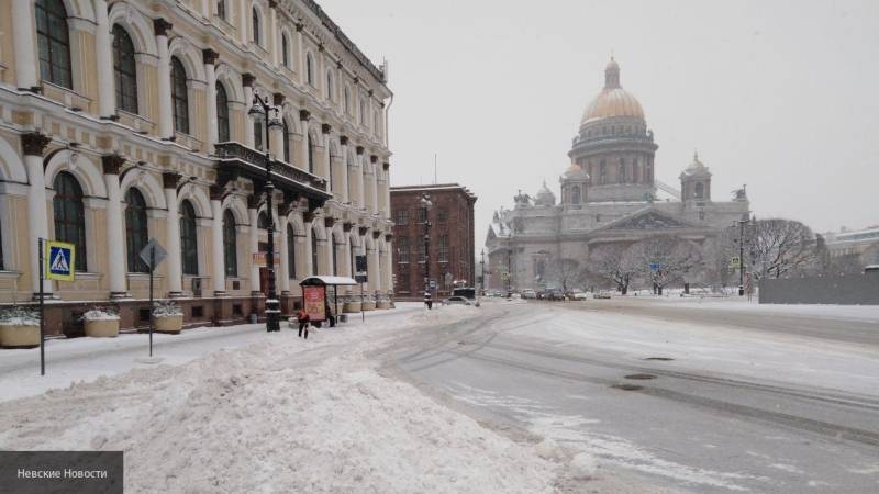 Эксперт оценила действия властей Петербурга по подготовке города к зиме