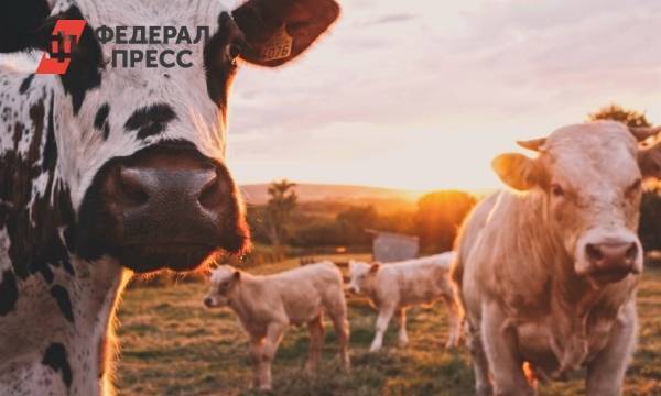Кировские депутаты поддержали налоговые льготы для фермеров и торговых центров