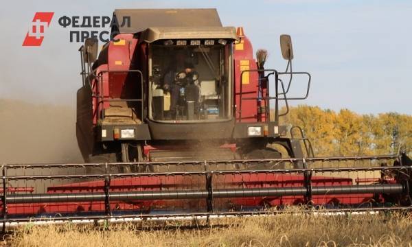 Более четырех миллионов тонн зерна собрали в Алтайском крае