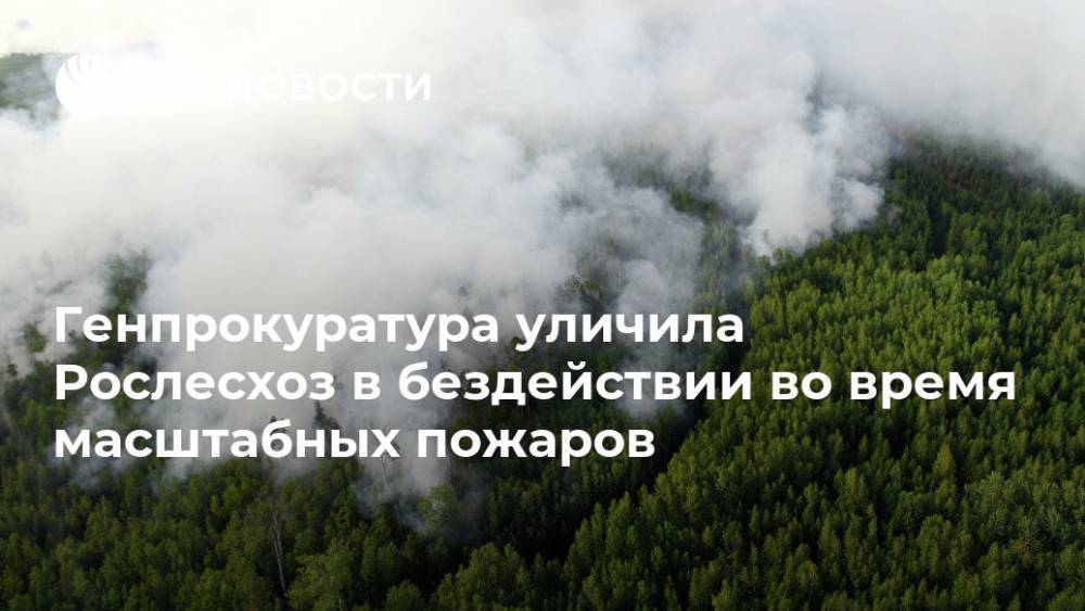 Генпрокуратура уличила Рослесхоз в бездействии во время масштабных пожаров