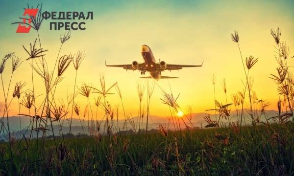 Россиянам сообщили, в какой день недели дешевле всего покупать авиабилет