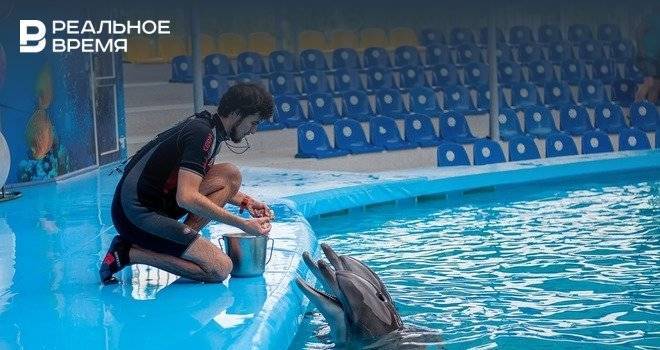 Почти 50 тыс. человек выступили против строительства дельфинария в Уфе