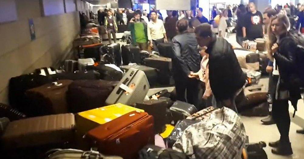 Багажный коллапс в аэропорту Внуково показали на видео