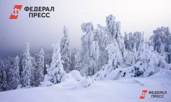 Кузбасс попросит у Фонда моногородов 100 миллионов рублей на горнолыжный курорт