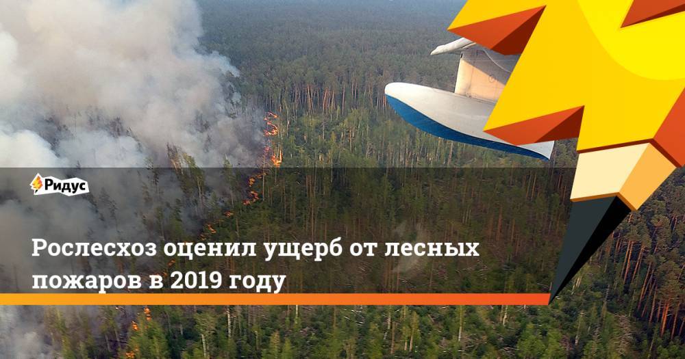 Рослесхоз оценил ущерб от лесных пожаров в 2019 году
