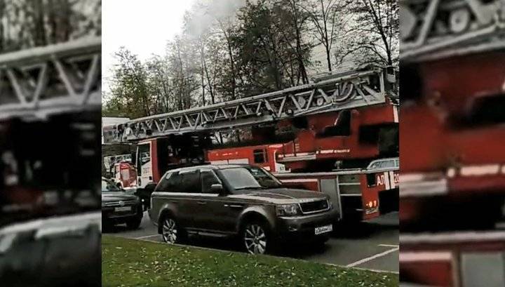 Крупный пожар произошел в московском парке "Фили"
