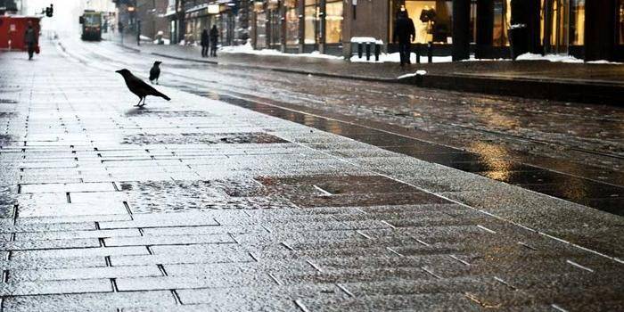 В России предложили использовать электробетон для борьбы со снегом