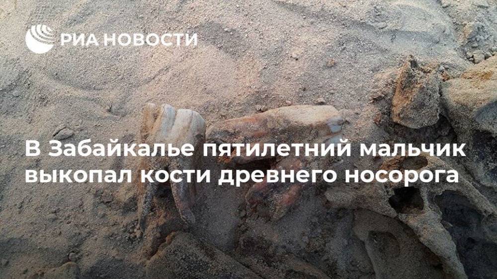 В Забайкалье пятилетний мальчик выкопал кости древнего носорога