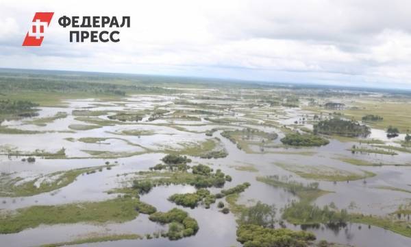 Минсельхоз оценил ущерб сельскому хозяйству от ЧС в 11 млрд рублей