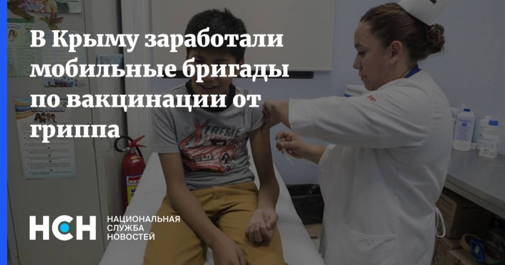 В Крыму заработали мобильные бригады по вакцинации от гриппа