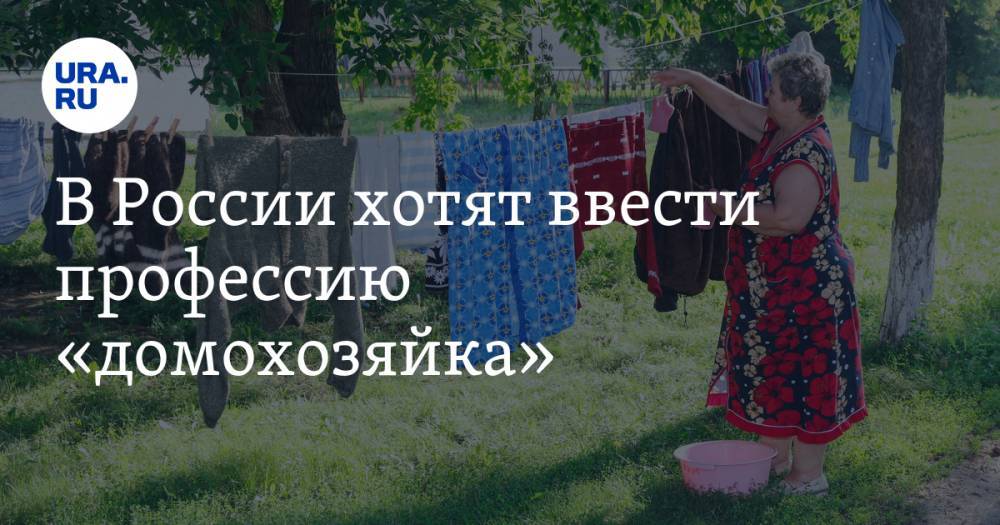 В России хотят ввести профессию «домохозяйка»