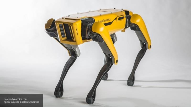 Boston Dynamics объявили старт продаж робопса Spot