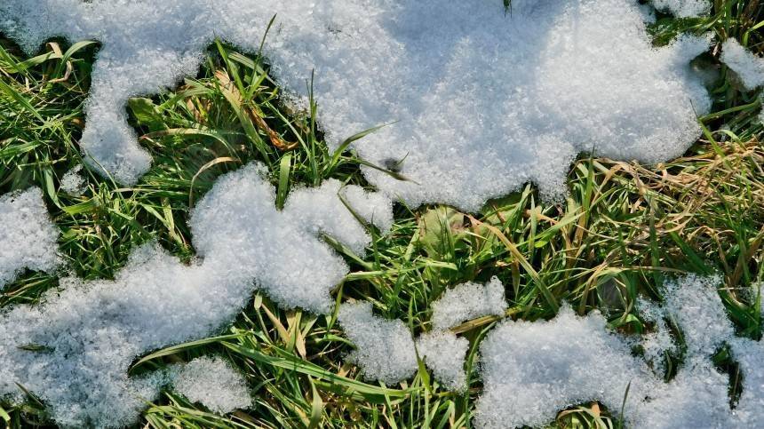 Видео: Башкирские коммунальщики вышли косить траву в сильный снегопад
