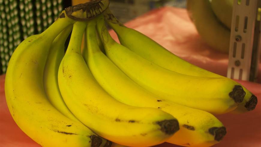 Бананы спасут от исчезновения с помощью редактирования генов