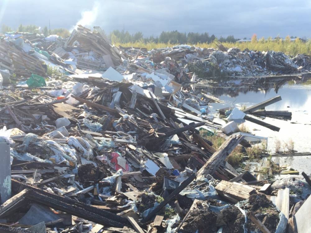 В поселке Кузьмоловский предлагают купить место для мусора на незаконной свалке
