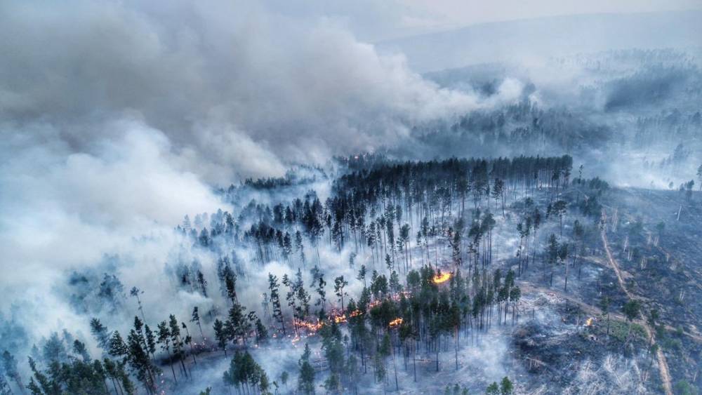 Когда в Сибири выгорали леса, о пожарах замалчивали и скрывали. Генпрокуратурой обнаружены новые факты
