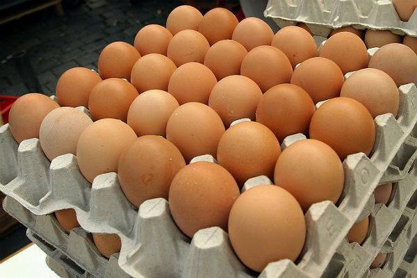 В США водитель грузовика потерял на трассе почти 140 тысяч яиц