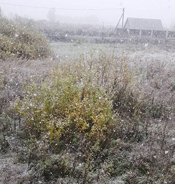 «Доброе зимнее утро». В Курганской области выпал первый снег