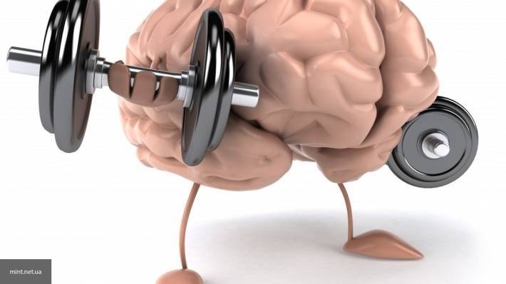 Ученые выяснили, что от физических нагрузок устают не только мышцы человека, но и мозг