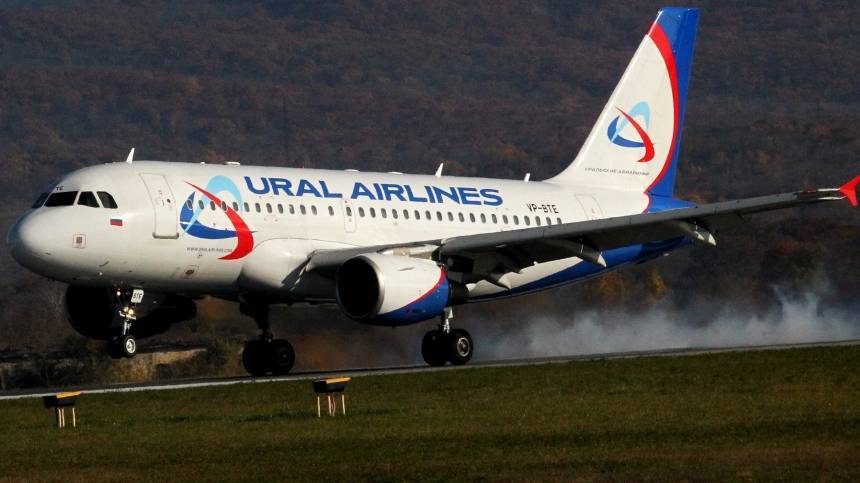 Самолет А-319 «Уральских авиалиний» столкнулся с птицами при взлете из Москвы