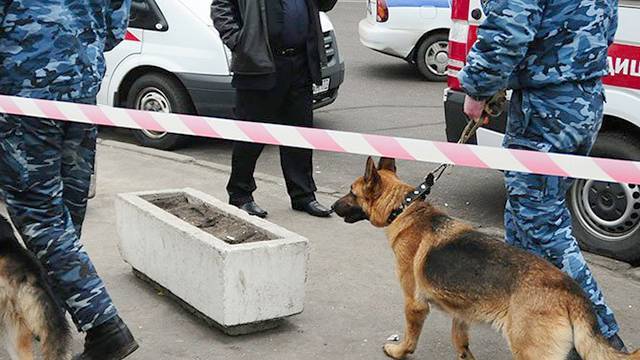 Полицейская собака помогла задержать педофила в Петербурге