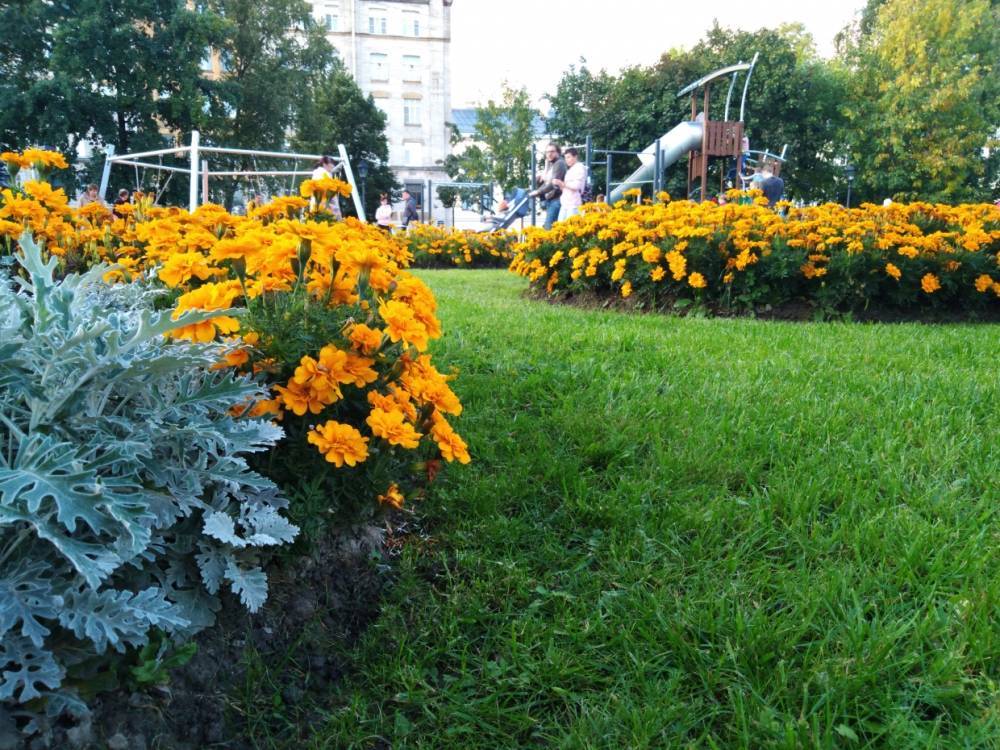В Петербурге в конкурсе «Парад садов» выбрали шесть победителей