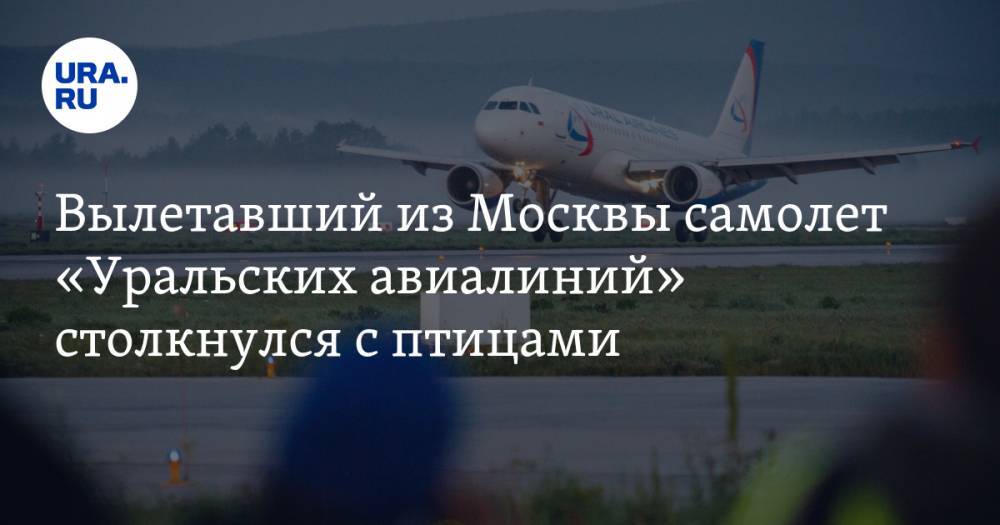 Вылетавший из Москвы самолет «Уральских авиалиний» столкнулся с птицами