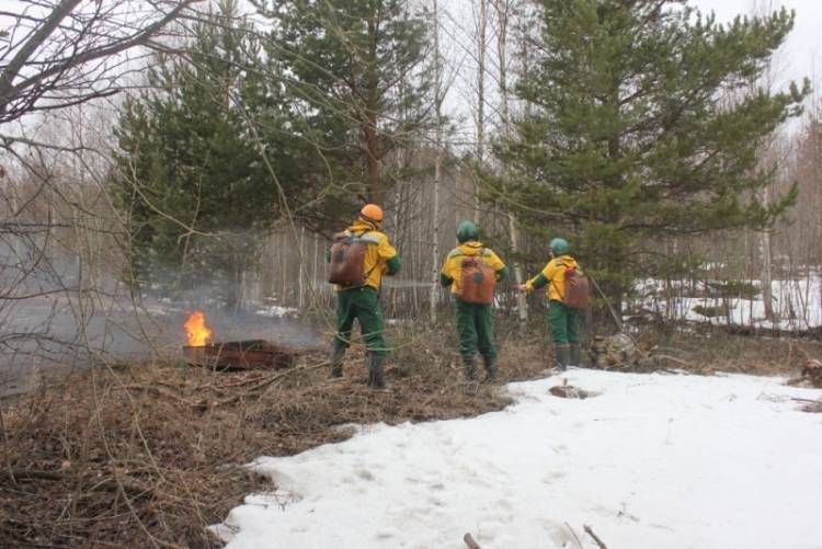 Высокая пожароопасность сохранится в Новосибирской области на выходные
