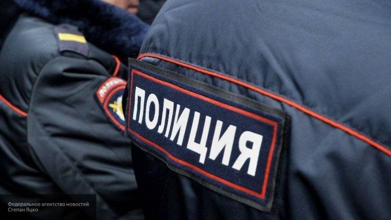 Петербургская полиция задержала мужчину, пытавшегося изнасиловать девятилетнюю школьницу