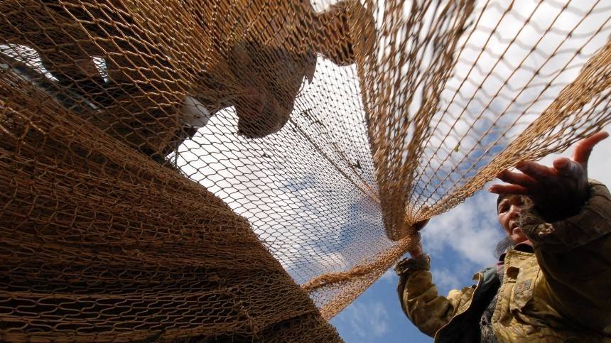 Три шхуны КНДР с 262 рыбаками задержаны за браконьерство в Приморье