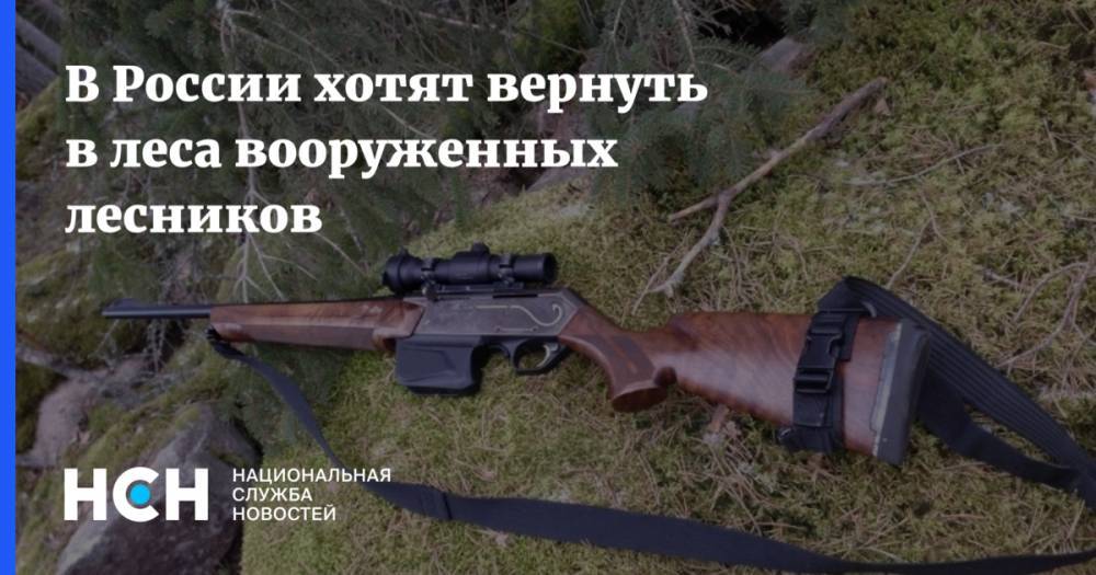 В России предложили вернуть в леса вооруженных лесников