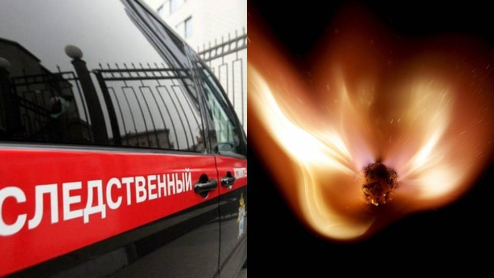 Гибель мужчины при пожаре в Мошенском районе проверит Следственный комитет