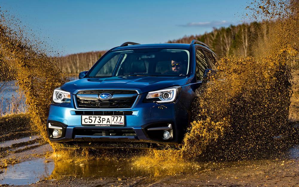 Subaru Forester с пробегом: оптимальный выбор эксперта