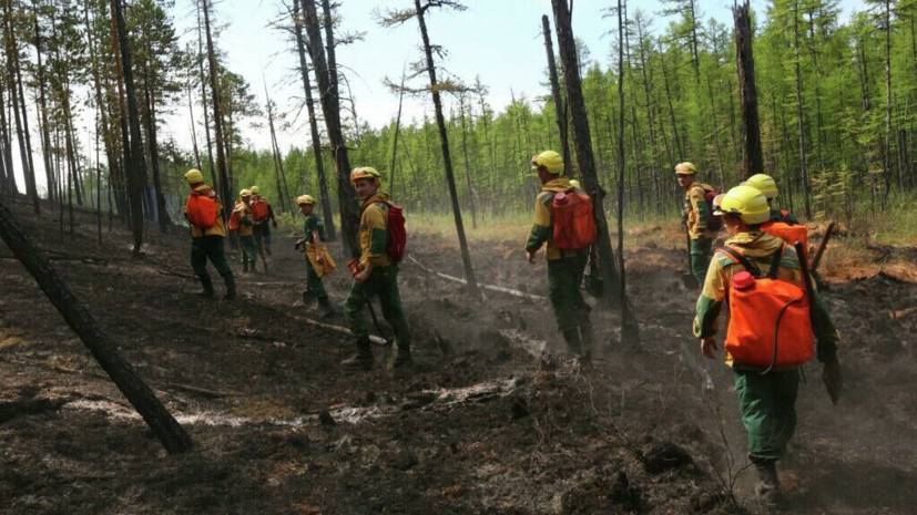 В Авиалесоохране рассказали о причине лесных пожаров в Сибири