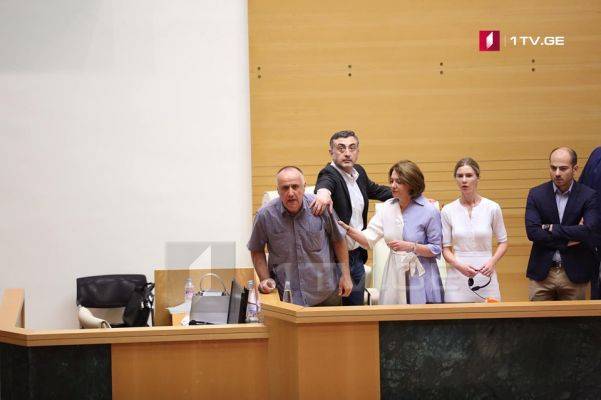 Обливший Гаврилова водой депутат заявил, что в Грузии нет русофобства
