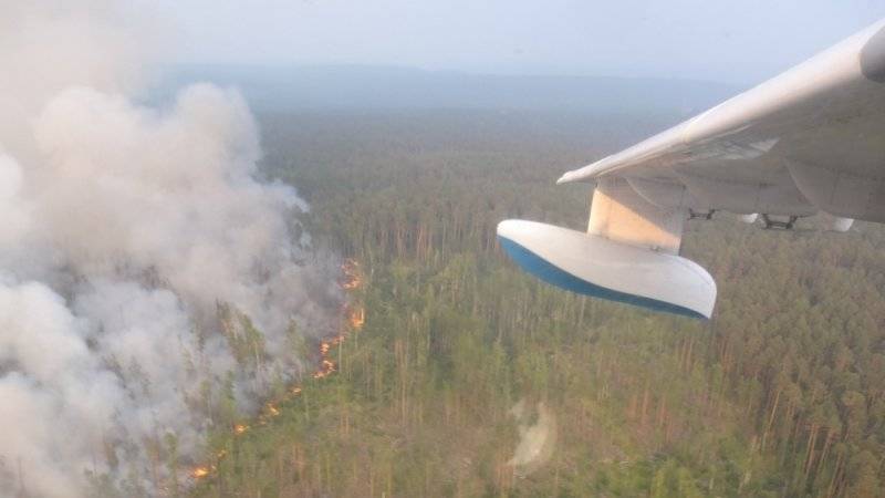 Авиалесоохрана сообщила о сокращении площади природных пожаров за сутки