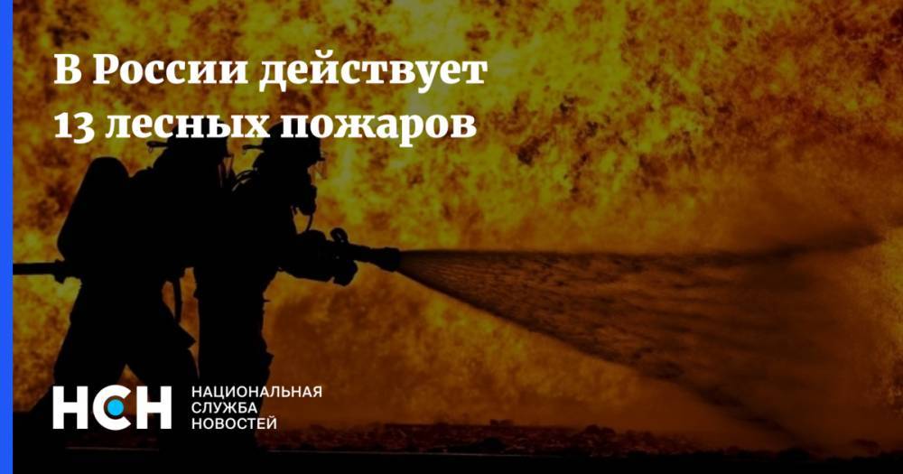 В России действует 13 лесных пожаров