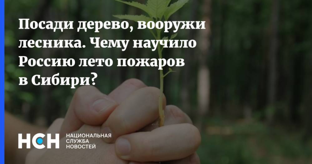 Посади дерево, вооружи лесника. Чему научило Россию лето пожаров в Сибири?